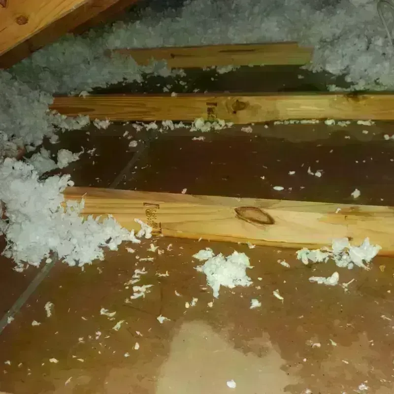 Attic Water Damage in Greencastle, IN